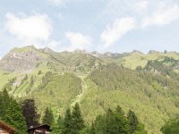DSC 1634 : Europe Summer 2015 Wengen and Top of Europe