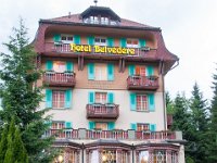 DSC 1700 : Europe Summer 2015 Wengen and Top of Europe