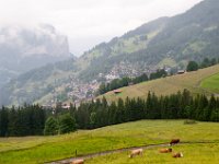 DSC 1703 : Europe Summer 2015 Wengen and Top of Europe