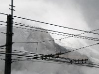 DSC 1708 : Europe Summer 2015 Wengen and Top of Europe