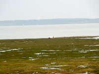 DSC 2129 : 2015 Europe Isle of White
