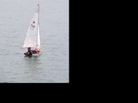 DSC 2131 : 2015 Europe Isle of White