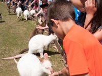 DSC 2144 : 2015 Europe Isle of White
