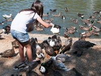 DSC 2161 : 2015 Europe Isle of White