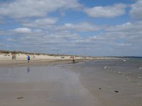 DSC03364
