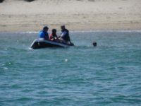 DSC03380