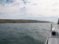 DSC 2306 : Europe 2015 Poole Studland