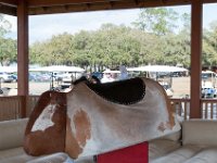 DSC 0309 : Indian Princess Westgate Apache February 2015