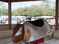 DSC 0310 : Indian Princess Westgate Apache February 2015