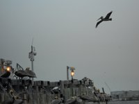 DSCN0764