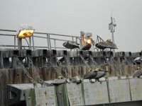 DSCN0765