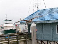 DSC 0495