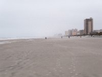 DSC 0555