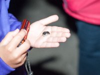 DSC 0740
