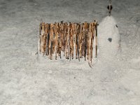 DSC 0741