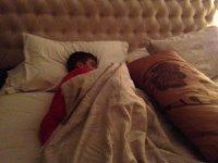 IMG 1915