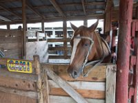 DSC 1597 : Indian Princess October 2015 Circle F