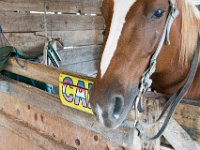 DSC 1599 : Indian Princess October 2015 Circle F