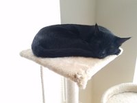20160430 105326  Louie 4