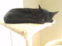 20160430 105332  Louie 5