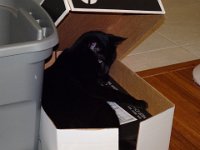 DSC00110