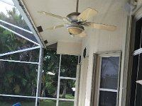 IMG 3161