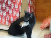 DSC00314