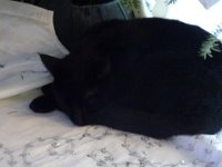 DSC00326