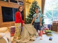 DSC 2522 : Christmas Day 2016
