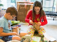 DSC 2530 : Christmas Day 2016