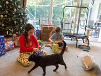 DSC 2532 : Christmas Day 2016