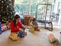 DSC 2533 : Christmas Day 2016