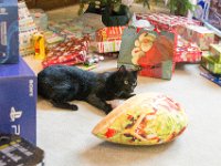 DSC 2558 : Christmas Day 2016