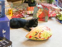 DSC 2559 : Christmas Day 2016