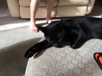 IMG 3583