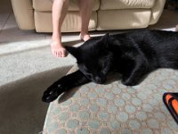 IMG 3584