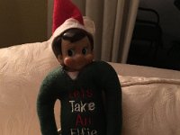 IMG 3568