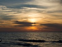 DSC 2664 : Clearwater Beach Sunset Luke