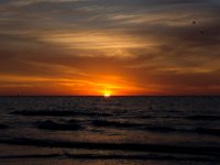 DSC 2677 : Clearwater Beach Sunset Luke