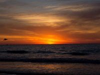 DSC 2691 : Clearwater Beach Sunset Luke