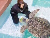 DSC 2510 : Clearwater Aquarium Luke
