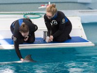 DSC 2523 : Clearwater Aquarium Luke