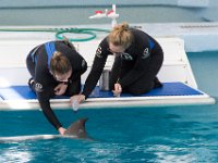DSC 2524 : Clearwater Aquarium Luke