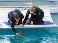 DSC 2525 : Clearwater Aquarium Luke