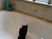 IMG 2854