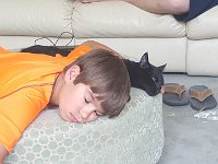 20160327 162715  IICSA