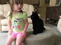 IMG 0832