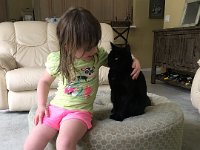 IMG 0833