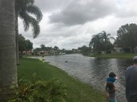 IMG 0917