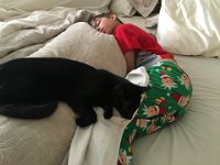 IMG 2637
